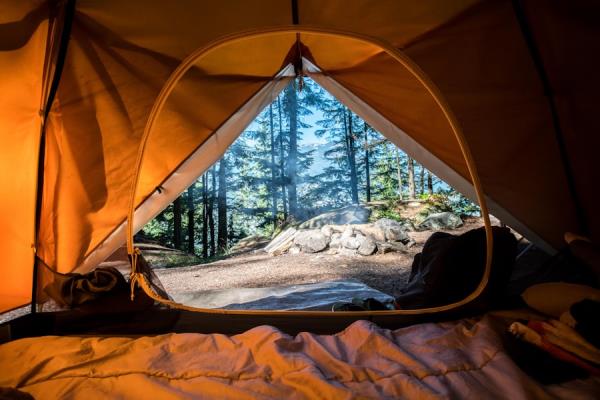 Camping tent in a forest clearing